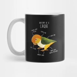 Anatomy of a White-Bellied Caique Mug